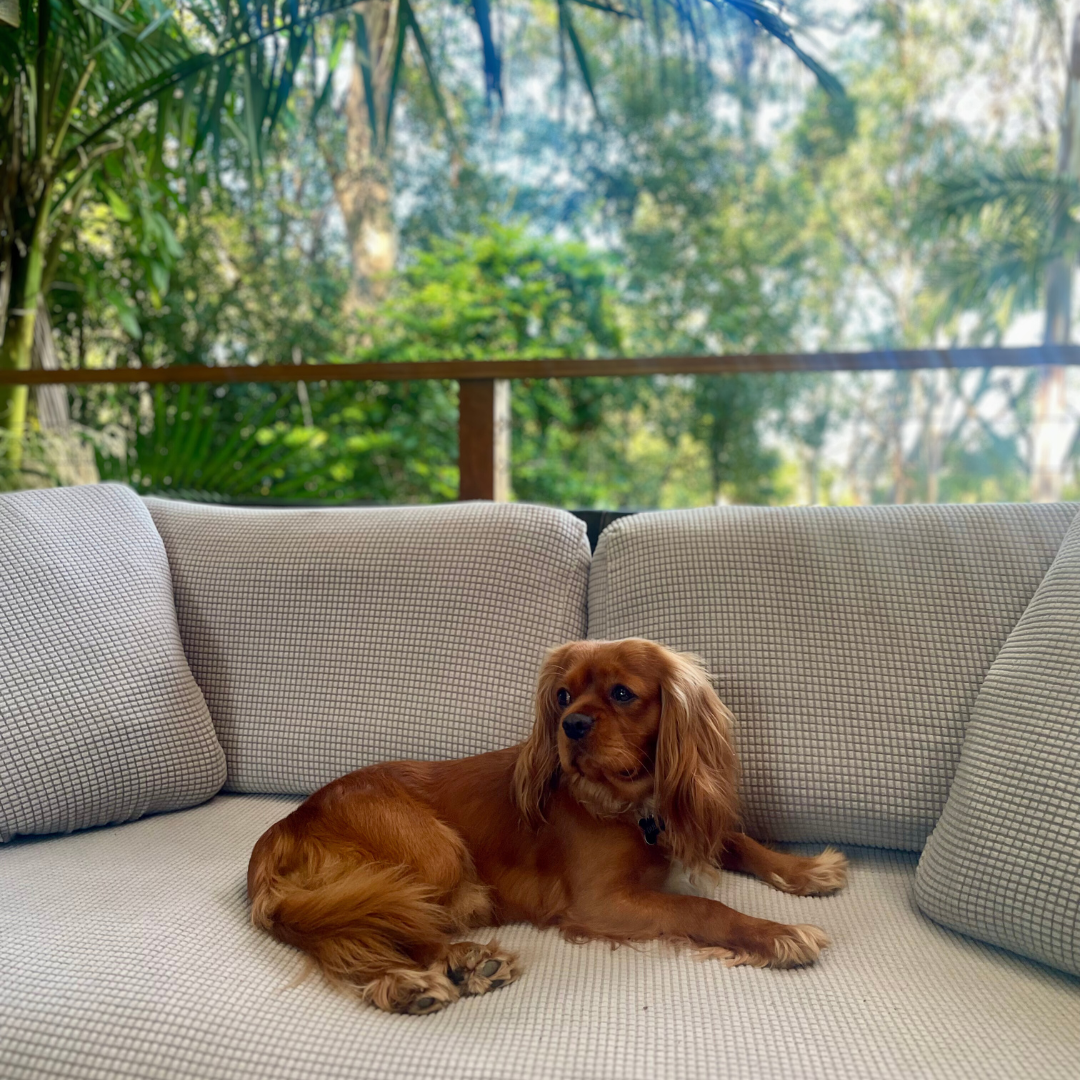 Snugfit Couch Covers